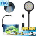 PAVIKE 水槽 ライト LED 14ランプ 四色ライト 小型水槽 ライト 水槽照明 アクアリウムライト クリップ式水槽ライト 360度調整 曲げ可能 観賞魚飼育 水草育成 省エネ 黒