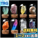 【送料無料】HIGHAWK岩石標本 天然石 ガラスカバー 鉱石 防塵 置物 オーナメント 展示 標本ボックス コレクション 地質科学 装飾品 小物(8セットC)
