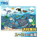 アーテック(artec) 知育玩具 海のいきものパズル