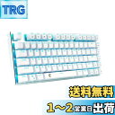 e元素ゲーミングキーボード メカニカル式キーボード USB接続有線 81キーアンチゴーストキー LEDバックライト 防水機能付きゲーマー向け英語配列 (青軸・ホ...