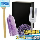 クリスタルチューナー 4096Hz 音叉 天然水晶 浄化用 5点セット リラックス 日本語説明書付 アメジスト WH26 - Purple