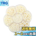 【送料無料】Hitasi 半円パール 3100粒 半球パール ABS パールストーン パールスカボション 2/3/4/5/6/8/10Mm 光沢 半球型 ネイル...
