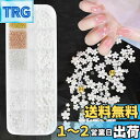 Coollooda ネイルパーツ 花 ネイルアート 立体 お花 ブリオン 半円パール ジュエリーパーツ ネイルデコパーツ ビーズ フラワー パーツ ホワイト 金属粒 3Dネイルアートデコレーション