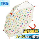 【送料無料】スケーター(Skater) 子供用 傘 35cm はらぺこあおむし アルファベット 2~3才向け 約85~95cm 視界が確保できる透明窓付き 指を挟みにくい手開き式 8本骨 UB0-A