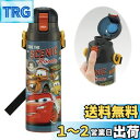 スケーター(Skater) 子供用 ステンレス 水筒 直飲み 580ml ディズニー カーズ 24 子供に優しい軽量タイプ 保冷専用 waterbottle スポーツボトル かっこいい キッズ 子供 こども 水瓶 SDC6N-A