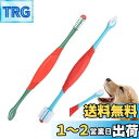 PAVIKE ペット歯ブラシ 犬 猫の歯ブラシ 2本セット ペット 口腔ブラシ 犬用歯ブラシ 口臭除去 歯周病予防 猫犬通用 小型/中型/大型 柔らかい 歯のク...
