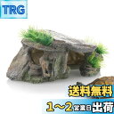 【送料無料】ESJNNK 水族館 シェルター 隠れ家 装飾 洞窟 岩 爬虫類 熱帯魚 爬虫類 亀 イモリ ミガメ ヒゲ竜 トカゲ ヘビなど 両生類用 待避用 オーナメント 樹脂 水槽用 飼育 背中を干す用
