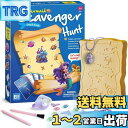Eggbox 人魚宝探しの発掘キット − 6歳以上のお子様向け人魚宝探し体験、発掘した宝物でネックレスや指輪を作成、誕生日・クリスマスプレゼントに最...