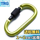 【送料無料】TITECOUGO アウトドア カラビナ おしゃれ 登山 小型 アルミ Dフック 頑丈 ネジロック バンジーコード ブランコ hammocks ハンモックテント ?キャンプ 用品 キーホルダー 釣り ハイキング ペット karabina グリーン 1個|詳細画像