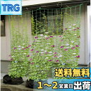 【送料無料】【緑のカーテンを作ろう】つる栽培ネット つるもの ネット 野菜誘引 10cm角目 1.8m*2.7m 四隅取付ロープ付 ゴーヤ ヘチマ 朝顔 カーテ...