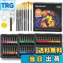 【送料無料】Shuttle Art アクリル絵の具 82点セット 66本 ペイントブラシ10本 パレート付き 速乾 耐久 チューブ 22ml 手作り 布/石/ガ...