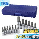 WORKPRO トルクスビットソケットセット トルクスレンチ 差込角 6.35mm 9.5mm 12.7mm 13点1セット
