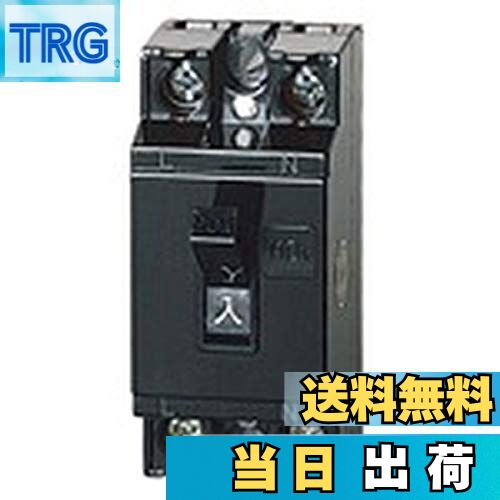 【送料無料】パナソニック(Panasonic) 安全ブレーカ HB型 2PIE 30A BS1113