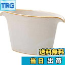 【送料無料】波佐見焼 長十郎窯 醤油差し キッチンツール 白釉