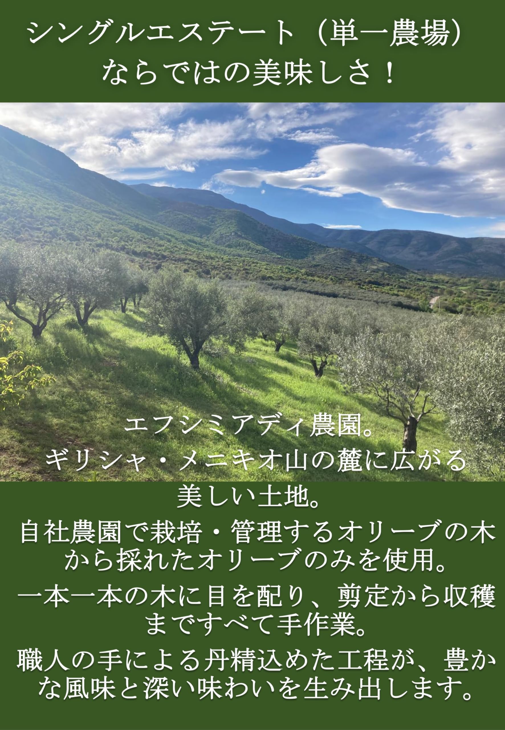 【9月1日ー9月15日まで200円オフ】【送料無料】酸度0.1％ シングルエステート 有機JAS認証 Eliris エリリス エキストラバージンオリーブオイル 250ml ギリシャ産100％ 収穫後2時間以内搾油 空輸・限定生産 ギフトBOX入り trg-shop-10181702 TRG サンプル画像2