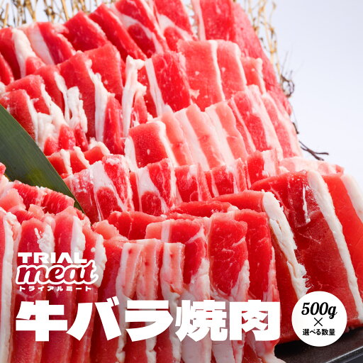【選べる内容量・セット】牛バラ焼肉 500g×1P~ | メキシコ産 冷凍 牛肉 トライアル トライアルミート 【選べる内容量・セット】牛バラ焼肉 500g×1P~ | メキシコ産 冷凍 牛肉 トライアル トライアルミート