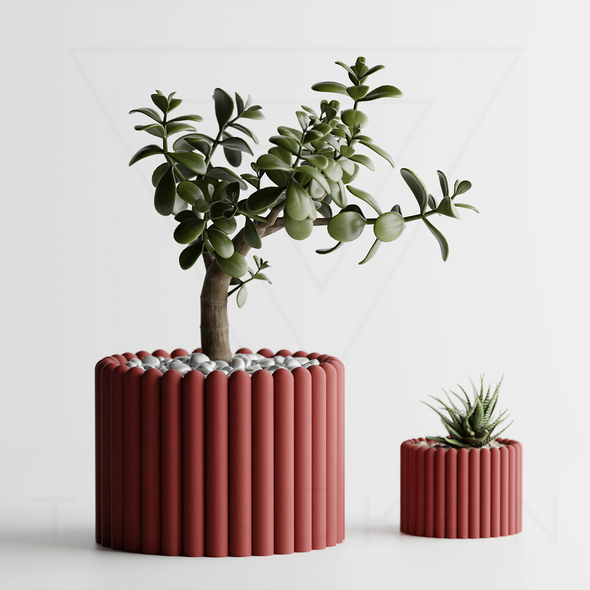tri3d0042_drm_01.jpg