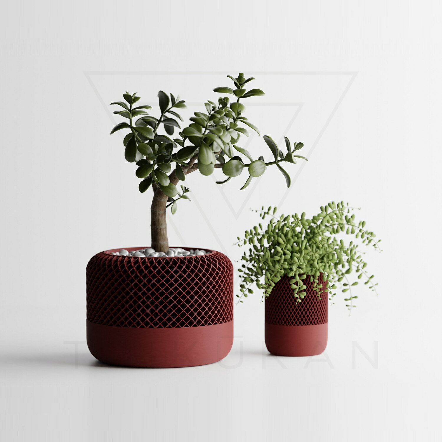 楽天市場】植木鉢（カラーワインレッド）（ガーデニング・農業｜花