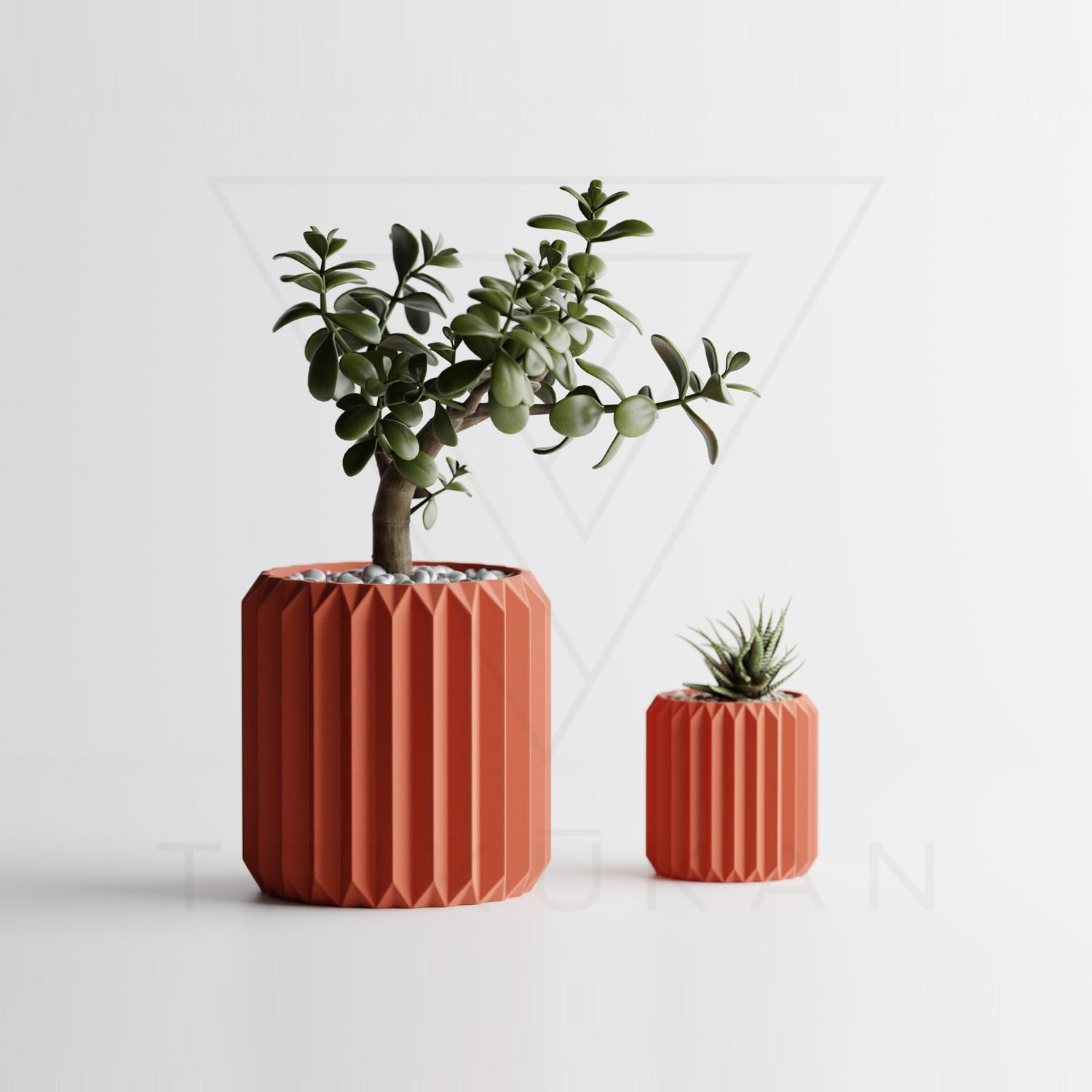楽天市場】鉢 観葉植物（カラーレッド）（植木鉢・プランター
