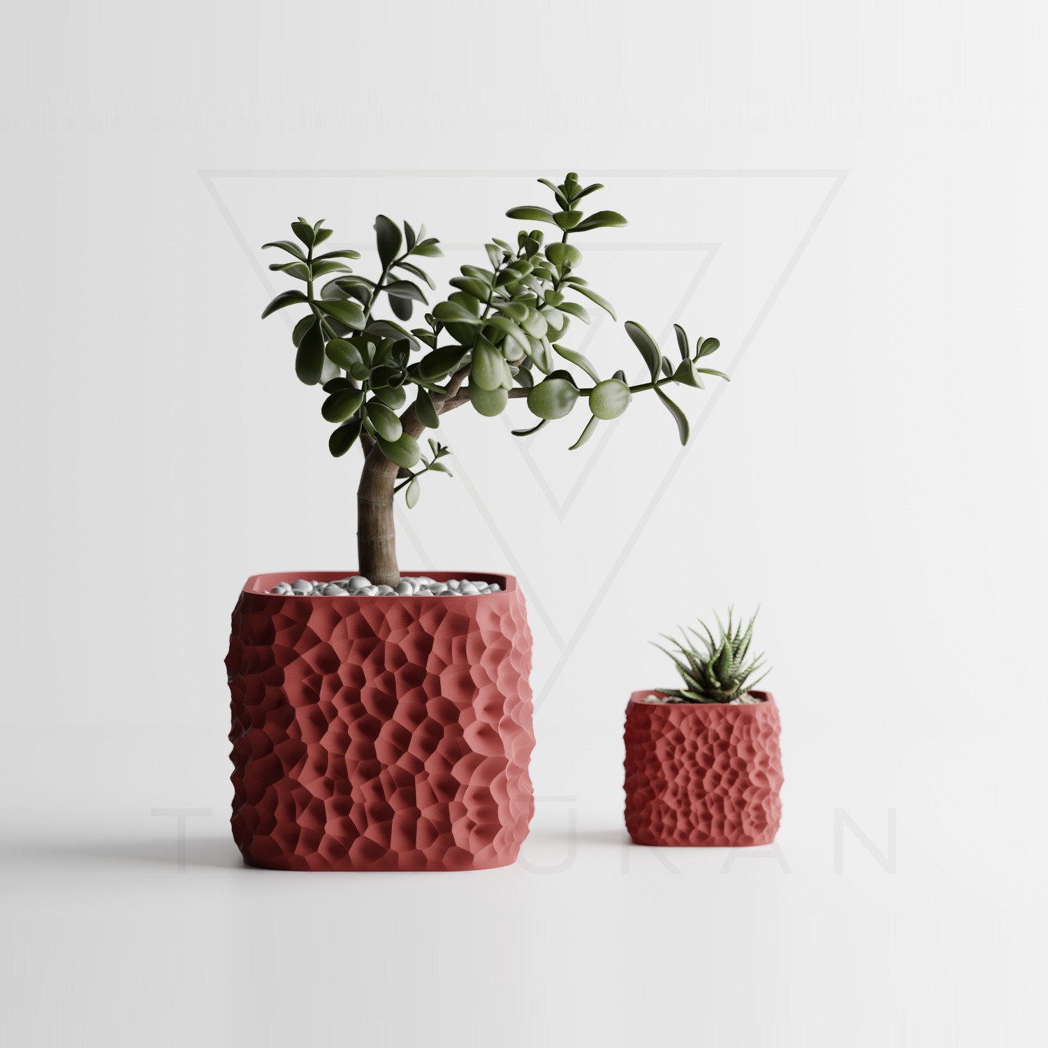 tri3d0014-drd-01.jpg