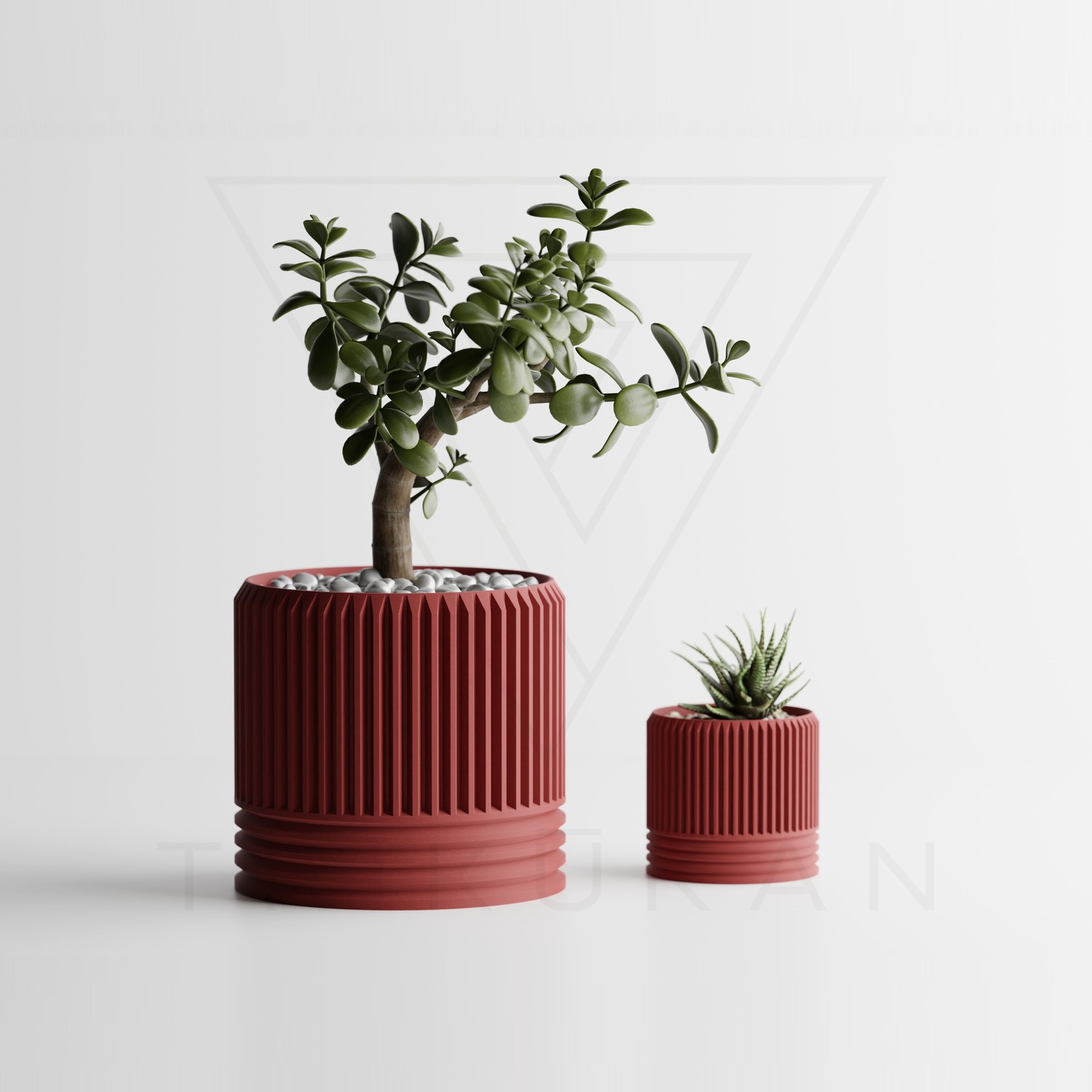 tri3d0041-drd-01.jpg