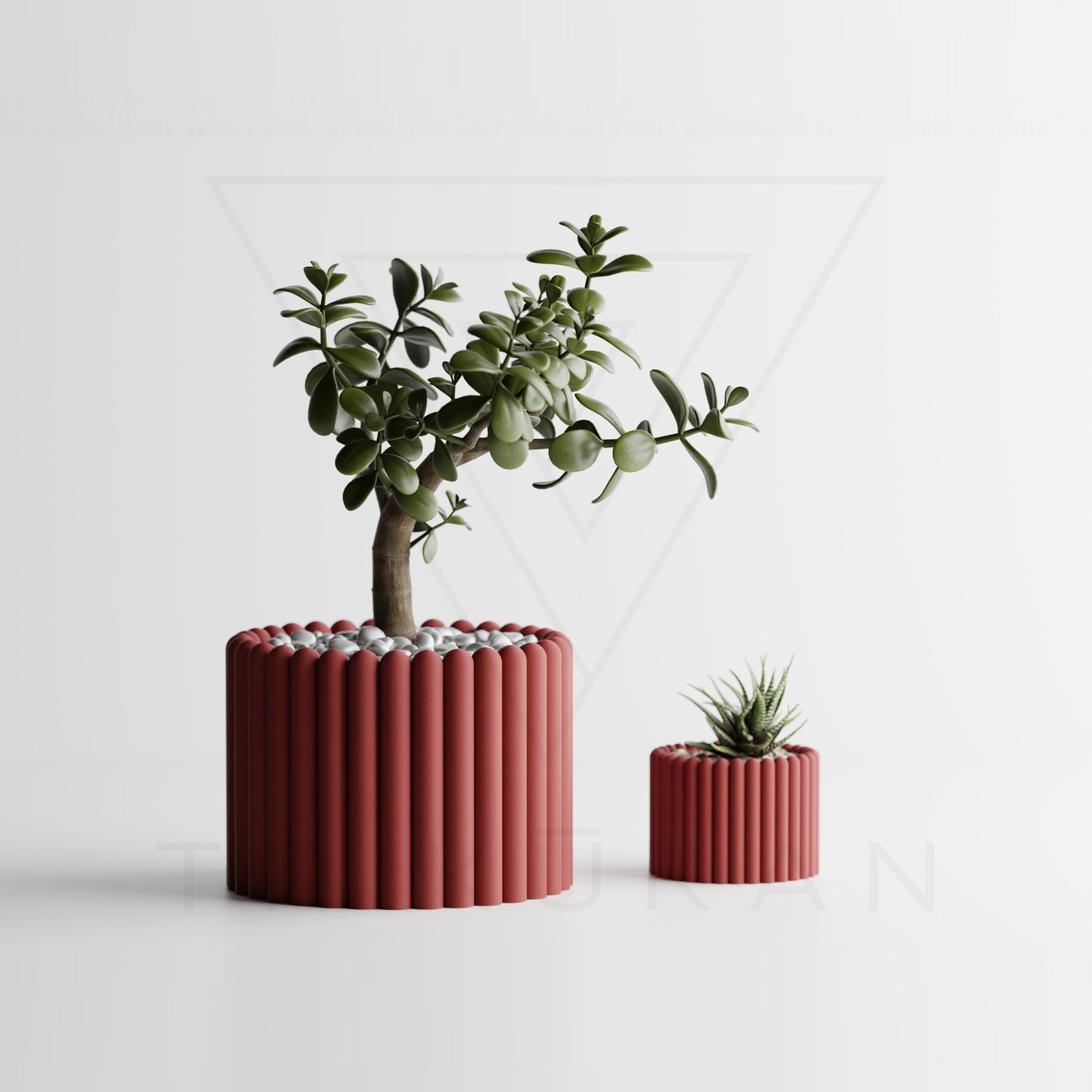 tri3d0042-drd-01.jpg