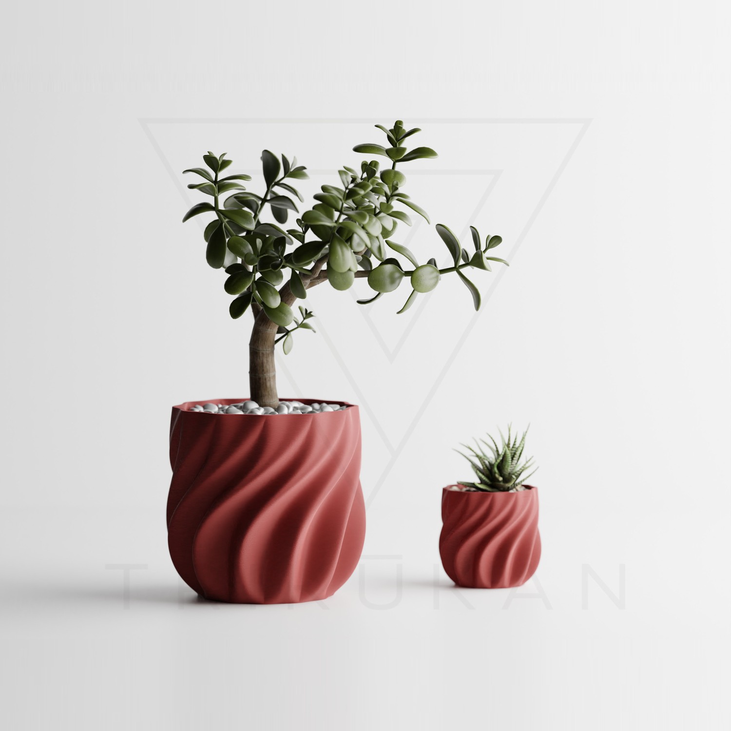 tri3d0058-drd-01.jpg