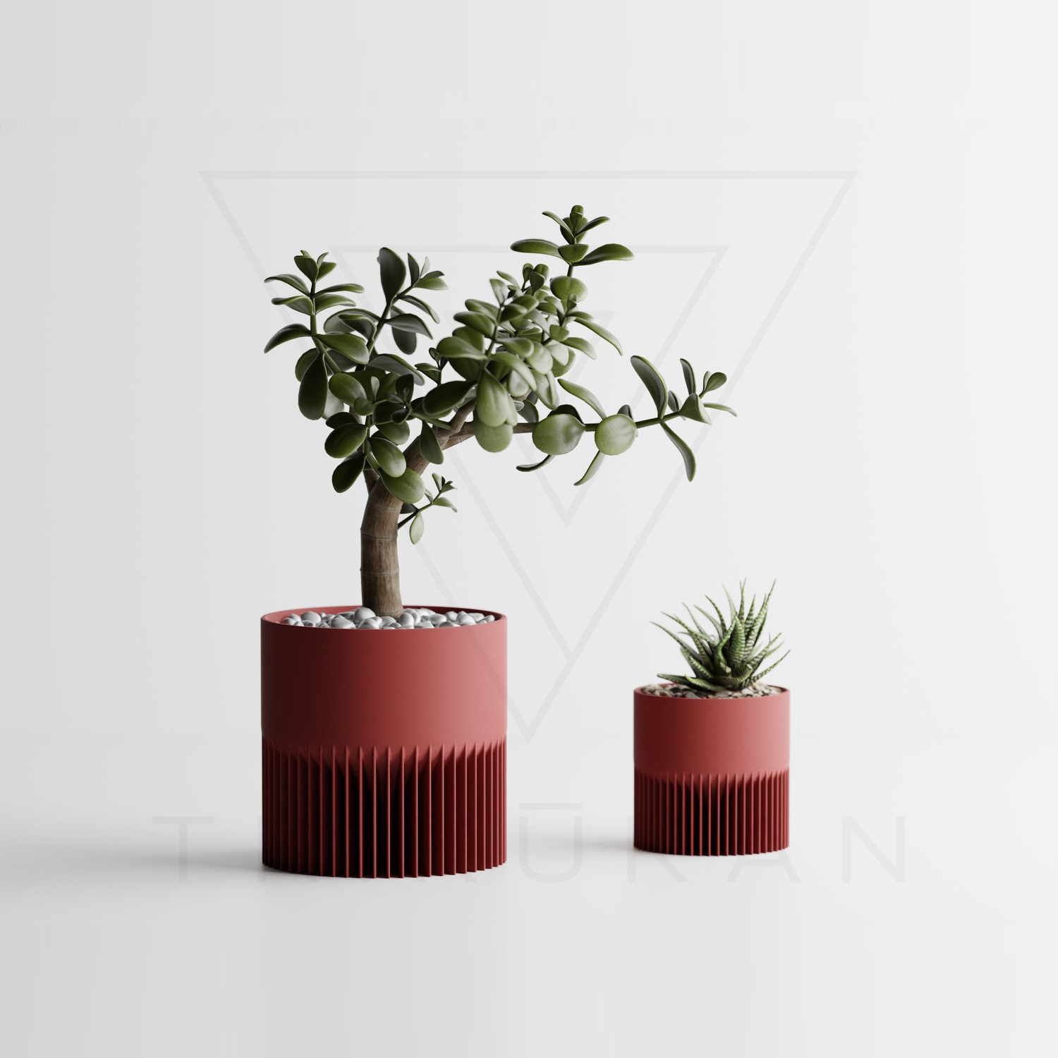 tri3d0059-drd-01.jpg