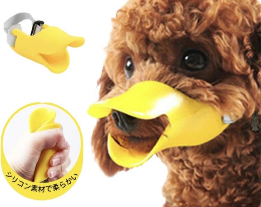 愛犬のしつけ用口輪、かわいいあひる口型のデザインです ■わんちゃんのしつけや予防にご利用ください ————————————————————————— お散歩のときの咬みつき癖やむだ吠え、拾い食いの予防に。 家具などをかじったりするのをしつけるときに。 傷口を舐めてしまうときに。 ■かわいいあひる口のデザイン、サイズはS/M/Lの3サイズ ————————————————————————— ポップなカラーとかわいいあひる口のデザインで、装着してもかわいい。 愛犬のサイズに合わせて選べるS/M/Lの3サイズです。 ■良質なシリコン素材でペットに優しい ————————————————————————— 計算された形状と、柔らかいシリコン素材でペットに優しい仕様です。 ■簡単装着のバックル、長さ調節可能 ————————————————————————— ワンタッチで簡単装着できます。 長さ調節が可能で丈夫なナイロン素材、快適な着け心地です。 商品サイズ：3サイズ Sサイズ：口周り約10.5cm、後頭部周り12-30cm Mサイズ：口周り約15.5cm、後頭部周り14-34cm Lサイズ：口周り約16.5cm、後頭部周り17-40cm 素材：シリコン/ナイロン カラー： “イエロー” ※色味やサイズに多少の差異がある場合がございます。 ■30日間のあんしん保証付 ————————————————————————— 初期不良や、通常使用における故障など、万が一製品に問題があった場合 ご購入から30日間の製品保証が適応されます。 安心してお買い求めください。 ▼以下の理由は、製品保証外となります。ご注意ください。 ・お客様の不注意や、誤った使用法、不要な修理や改造による故障、破損 ・イメージの合わない等、お客様ご都合による返品 ・消耗パーツの劣化や摩耗 ・発送日より30日間が経過した場合、いかなる理由でも対象外となります。 ■全国どこでも送料無料 ————————————————————————— こちらの商品は全国どこでも送料無料でお届けします。 ＊＊＊＊＊＊＊＊＊＊＊＊＊＊＊＊＊＊＊＊＊＊犬 しつけ 口輪 ペット ペット用 吠え防止 噛みつき防止 キズ舐め防止 あひるぐち あひる口 アヒルぐち アヒル口 マスク 小型犬 中型犬 大型犬 愛犬のしつけ用口輪、かわいいあひる口型のデザインです 2