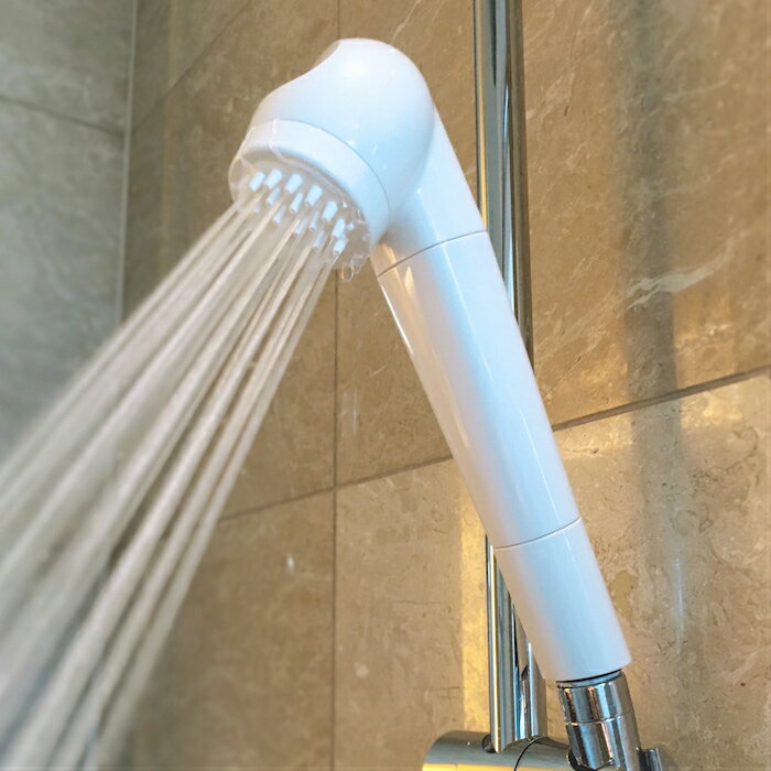 ガイアの水135 浄水シャワー (テラヘ