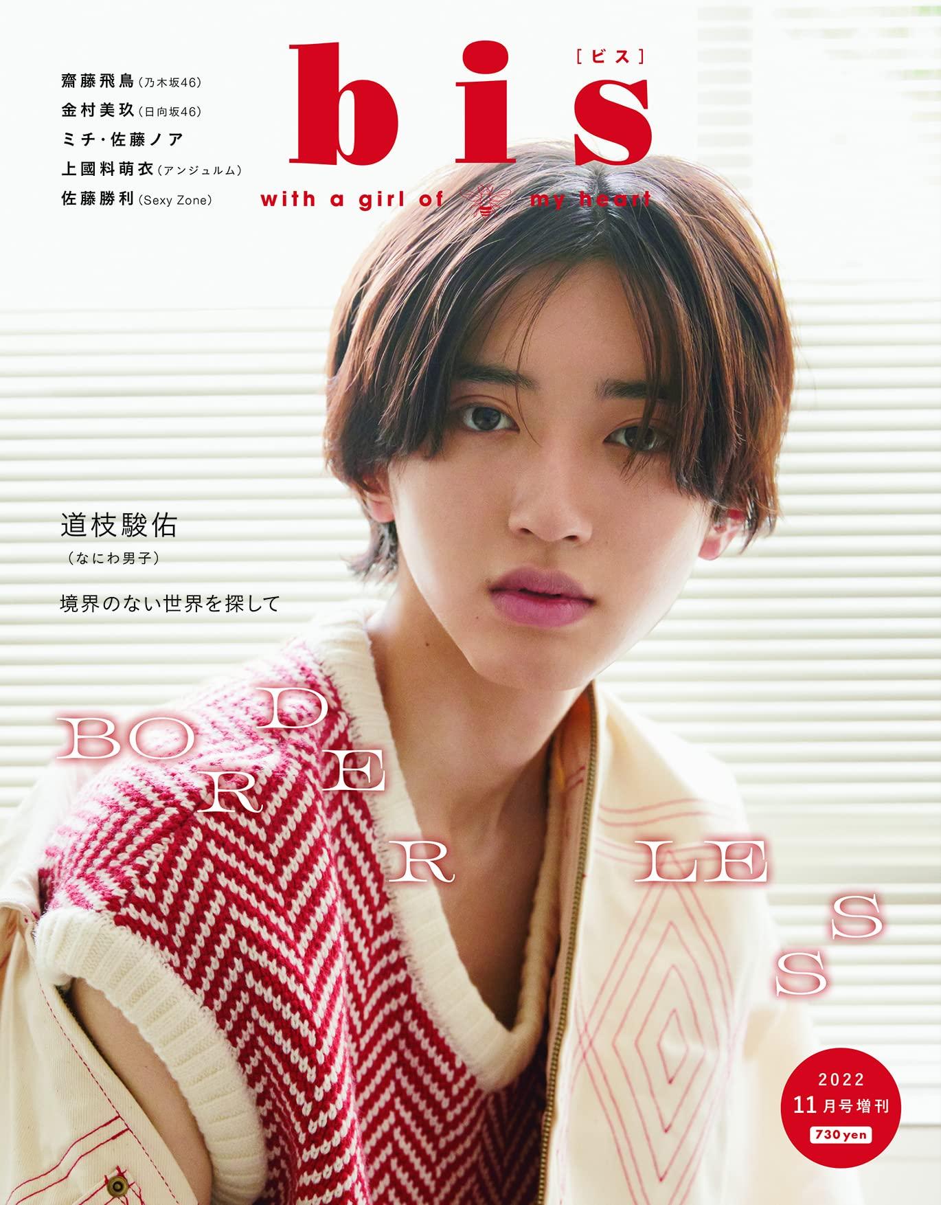 bis(ビス)増刊 2022年 11 月号 [雑誌] 道枝駿佑のサムネイル