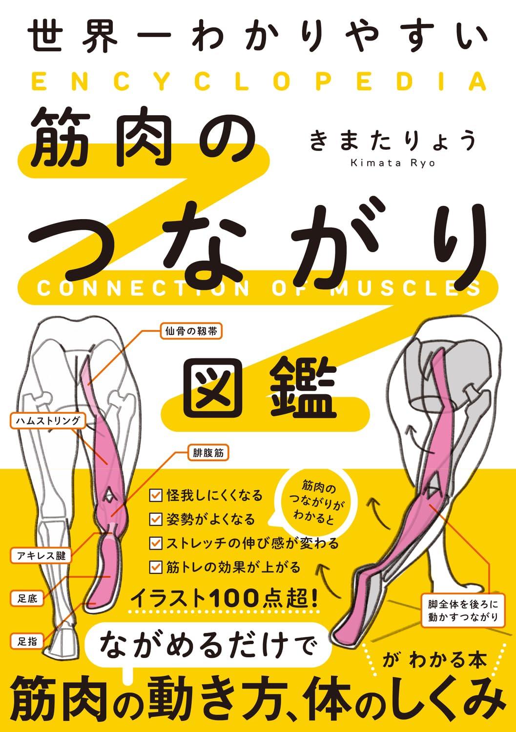 世界一わかりやすい 筋肉のつながり図鑑