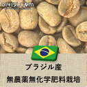 コーヒー豆 ブラジル産 無農薬無化学肥料栽培 ドゥトラ 未焙煎 生豆 100g 907g 014151.com