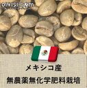 コーヒー豆 メキシコ産 無農薬無化学肥料栽培 SHG チアパス Qグレード 未焙煎 生豆 100g 907g 014151.com