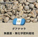コーヒー豆 グアテマラ産 無農薬無化学肥料栽培 Qグレード 未焙煎 生豆 100g〜 ウエウエテナンゴ プレゼント ギフト 014151.com