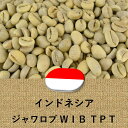 コーヒー豆 インドネシア産 ロブスタ種 WIB 未焙煎 生豆 100g〜 プレゼント ギフト 014151.com