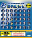 大分トリニータガチャガチャ選手缶バッジ全35種類 1セット(5個入り)