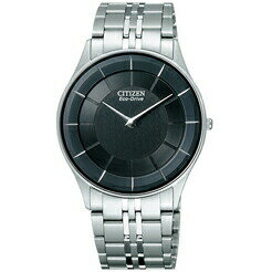 CITIZEN シチズン AR3010-65E