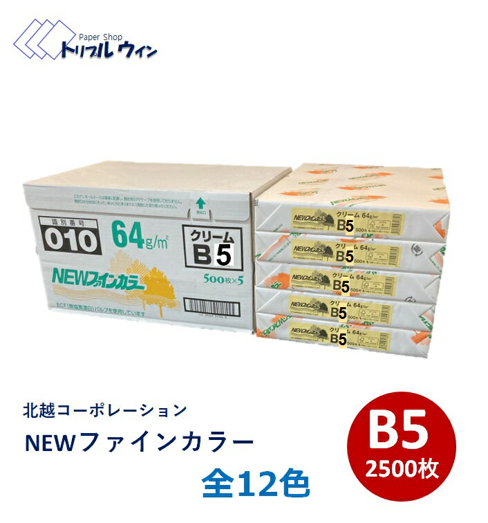 NEWファインカラー B5 2500枚入（500枚×5包）全12色 64g カラーを選択して下さい。ニューファインカラー ファインカラー カラーコピー用紙 色付きコピー用紙　営業日で2日～4日で発送します　※エコ配選択時は時間指定不可です※