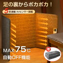 『MAX75℃＆5秒速暖』パネルヒーター