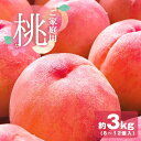 家庭用 自宅用 桃 もも モモ 3kg 3キロ 直送 国産 山梨県産 山梨 山梨県 果物 日本産 フルーツ 冷蔵 クール便 取り寄せ 産地直送 農家直送 高糖度...