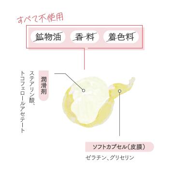 �Ƿ� ��� ���ݡ��� �ܡ��� 5���� ���꡼ ���� ��������� �β����Ϥ��� �ᤤ ���� �ǥꥱ���ȥ����� ������ ̵���� ������