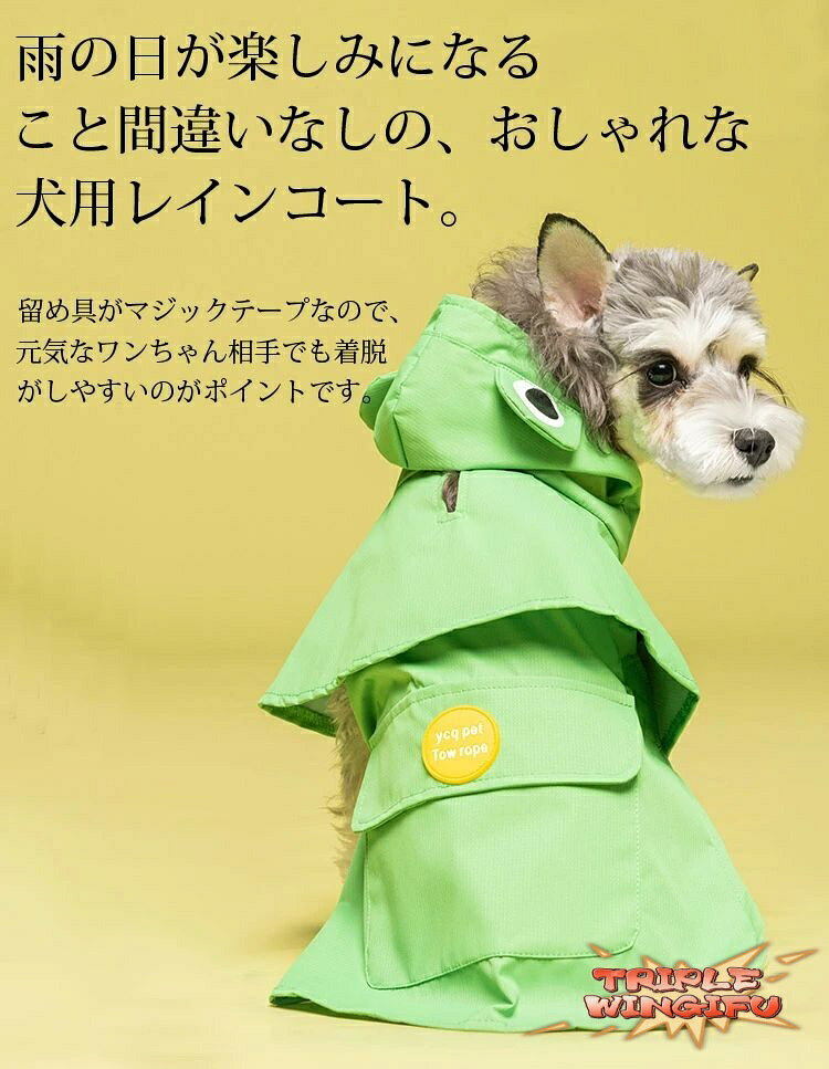 サンプル画像2