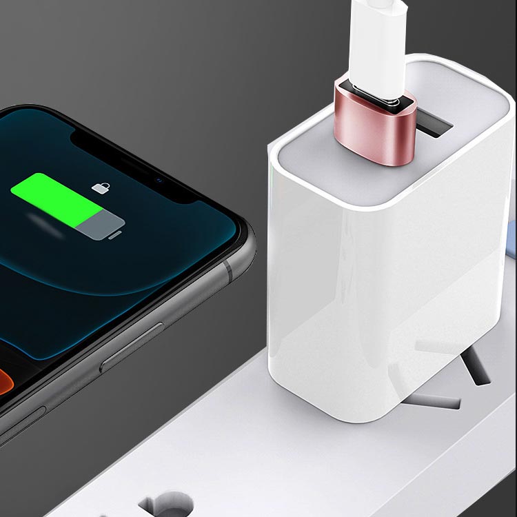変換コネクタ OTG USB変換アダプター USB3.0 USB PD Type-C C→USB-A 変換アダプタ ...