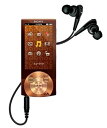 【中古】 SONY ウォークマン Aシリーズ メモリータイプ 32GB ブラウン NW-A846 T