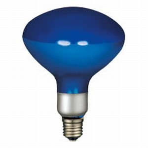 楽天市場】写真照明用アイランプ 500wの通販