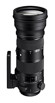 【中古】 SIGMA 150-600mm F5-6.3 DG OS HSM | 