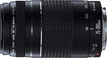 【中古】 キャノンEF 75-300mm f 4-5.6 III 望遠ズームレンズ 【中古】 キャノンEF 75-300mm f 4-5.6 III 望遠ズームレンズ
