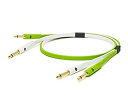 【中古】 NEO OYAIDE d+TS class B オーディオケーブル 2.0m ネオ オヤイデ