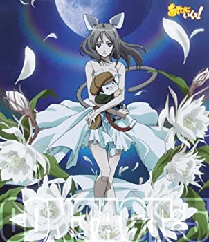 【中古】 あそびにいくヨ! contact 5 [DVD]